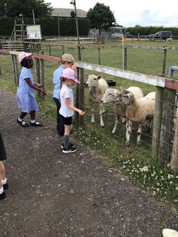 The National Trust Adventure Farm